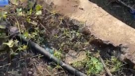 Jaringan SPAM Desa Modo, Desa Kakor, Desa Wae Mose, Desa Lalong Lembor Selatan. (Ist)