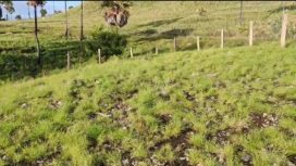 Objek sengketa.(Ist)