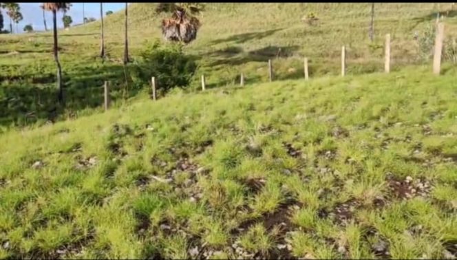 
					Objek sengketa wae cicu Timur.(Ist)